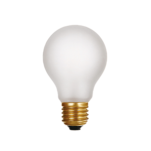 LED Filament Bulb A60 Milky 8W Dim - LUXRAY LIGHTING